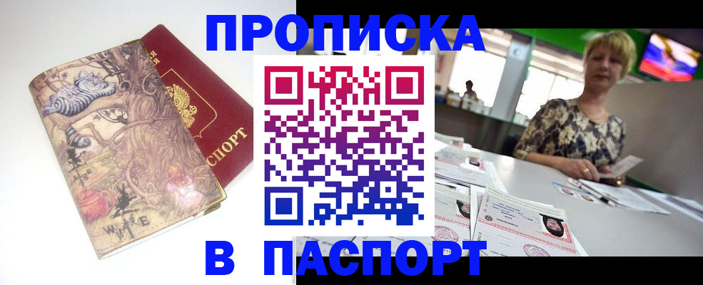 прописка гарантия в Дмитрове
